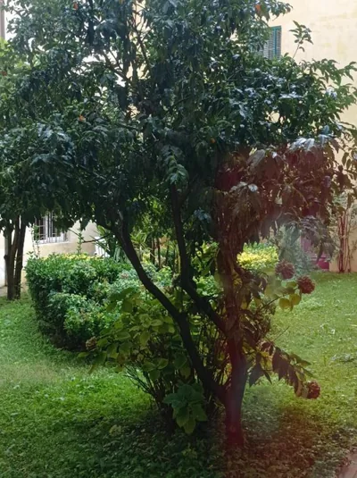Casa Amena – Fotos 13
